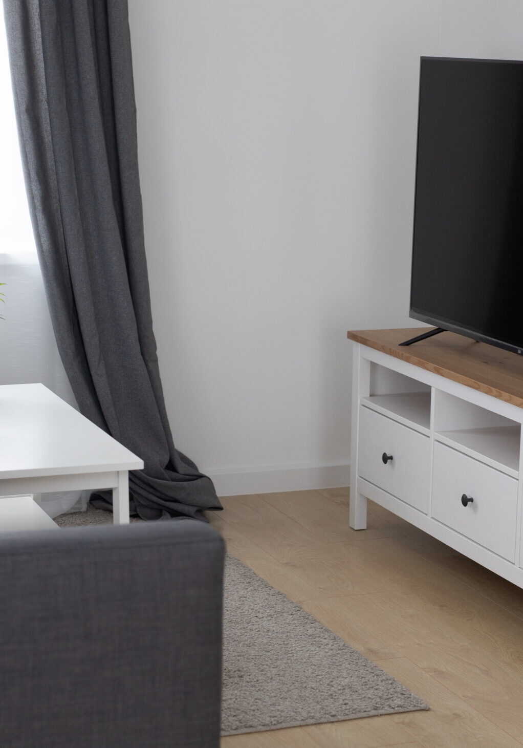 Cozy room interior with stylish furniture scandinavian style and decor and modern TV set - interior and comfortable home